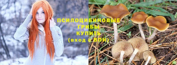 мескалин Дмитров