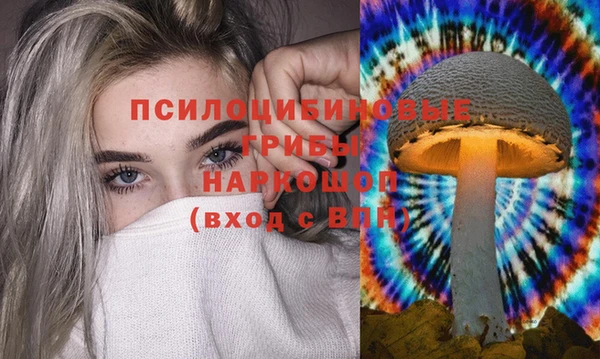 кокаин колумбия Дмитриев