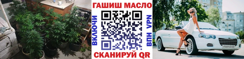Дистиллят ТГК THC oil  Купить где  Шацк 