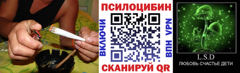 Купить закладки  Шацк  Псилоцибиновые грибы ЛСД 